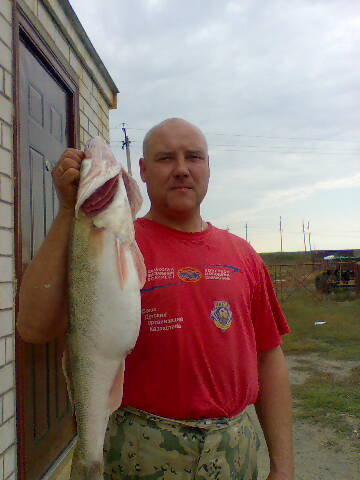 Бушманов Александр