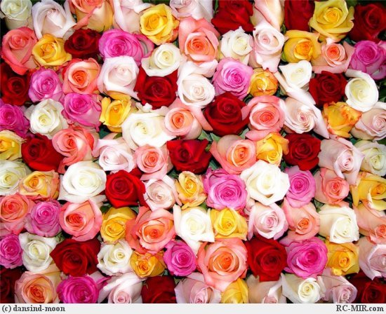 Рабига Солумбаева