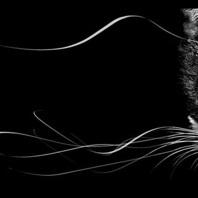 Сакен Омаров