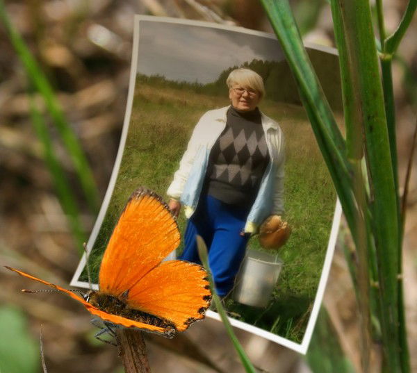 Надежда Потапова