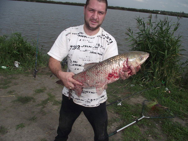 Владимир Литовченко