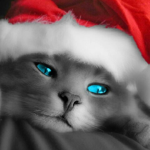 Чертовка ...