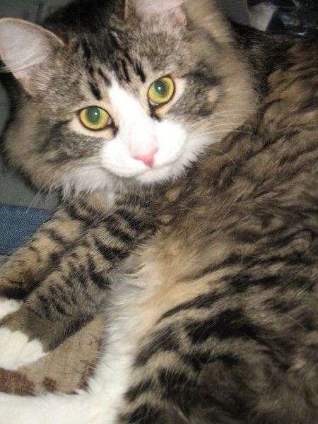 Дарья Субботина