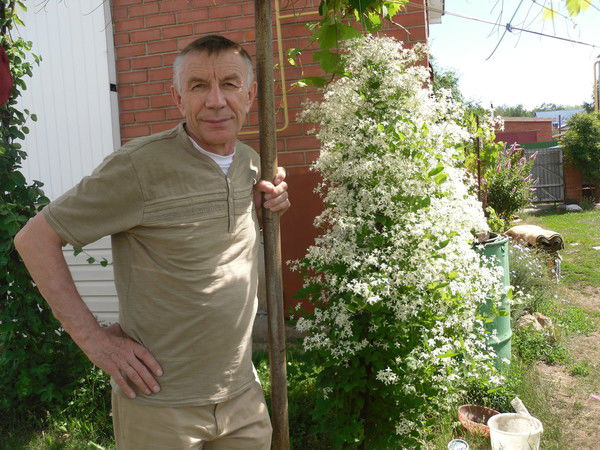 Владимир Максимкин