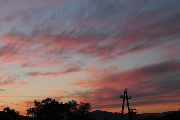 Лариса Кулик