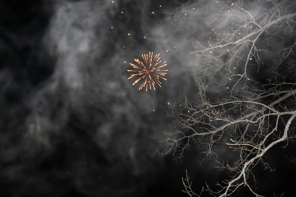 Елена Исаева