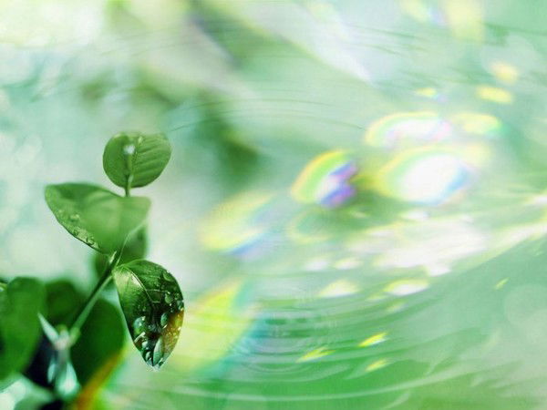 Алла Зиновьева