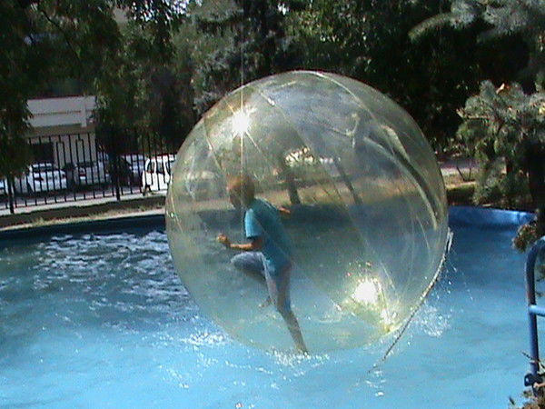 Влад Щеглов