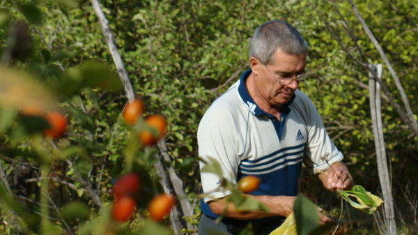 Анатолий Тимашов