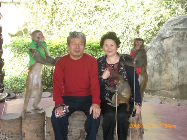 Бакыт Дарибай