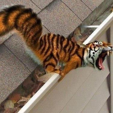 Максим Ерофеевский