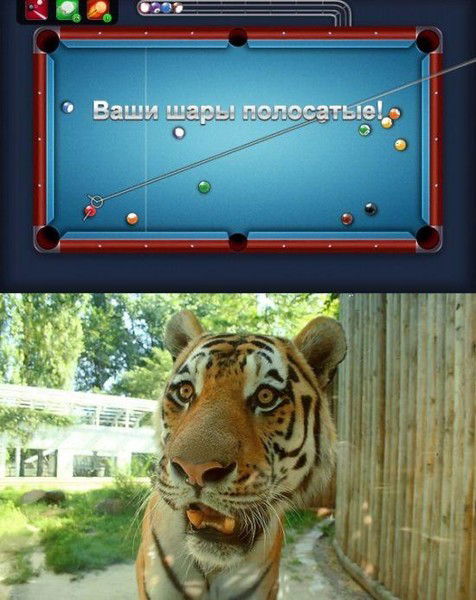 Денис Овчаренко