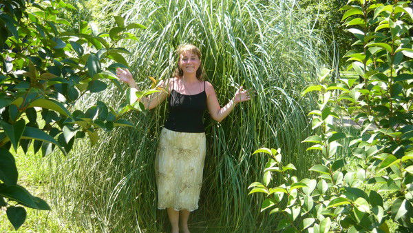 Юлия Соколовская