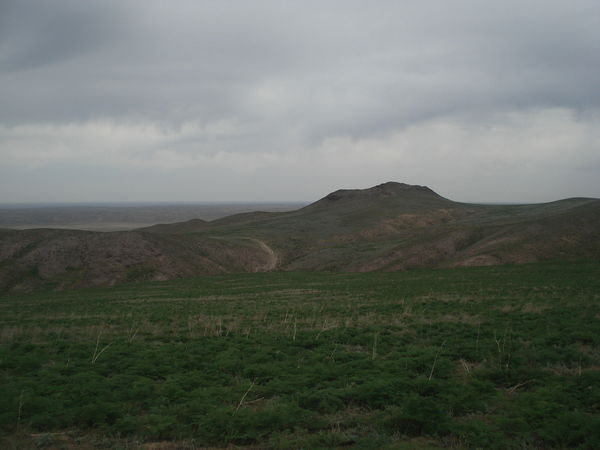 Люба Савина