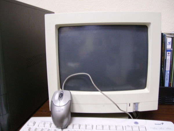 Андрей Шамов