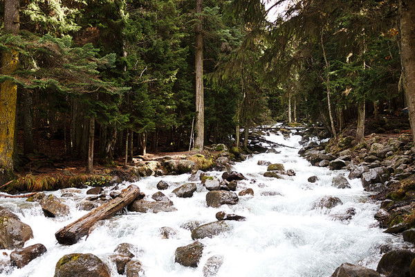 Александр Козлов