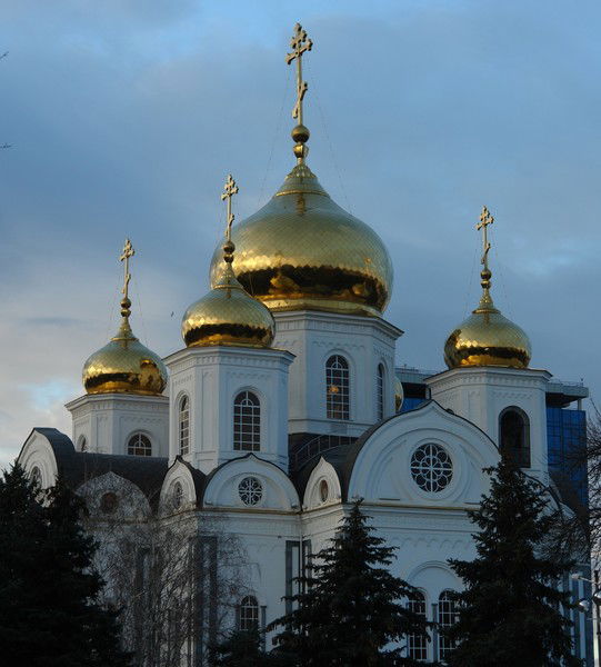 Елена Александровна