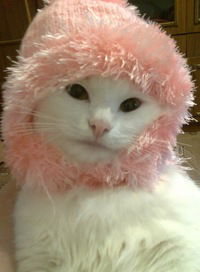 Арина Егорова