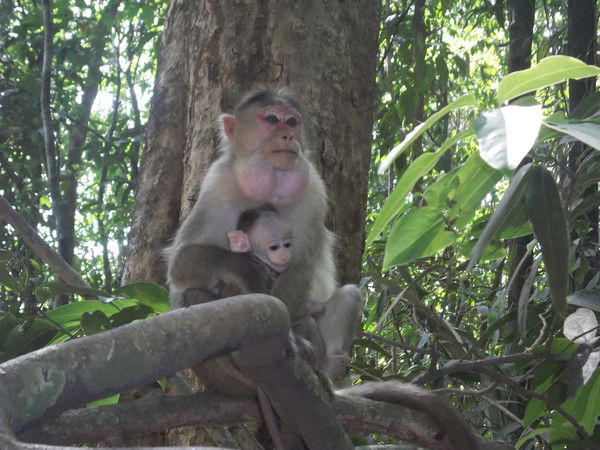 Ольга Ольга