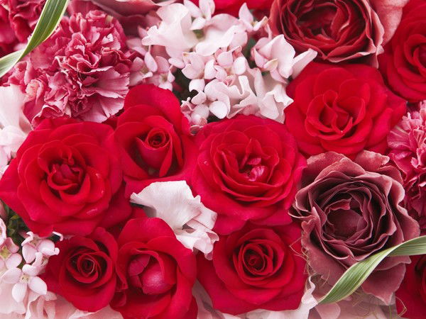 Вячеслав Рагулин