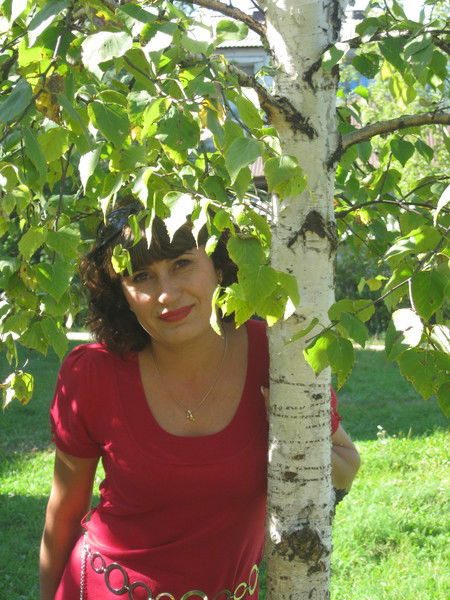 Лилия Цветок