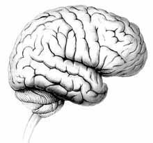 База Бытовой Техники Есть-Всё!