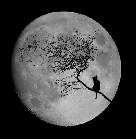 Регина Биктимирова