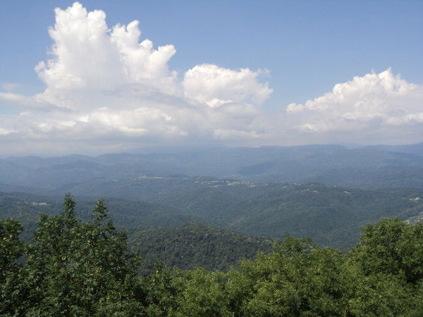 Ирина Бельтюгова