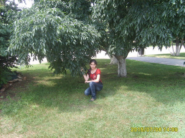 Диана Габриелян