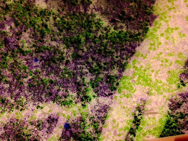 Руслан Скочать