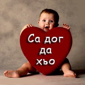 Молтхан Гойгова&газдиева