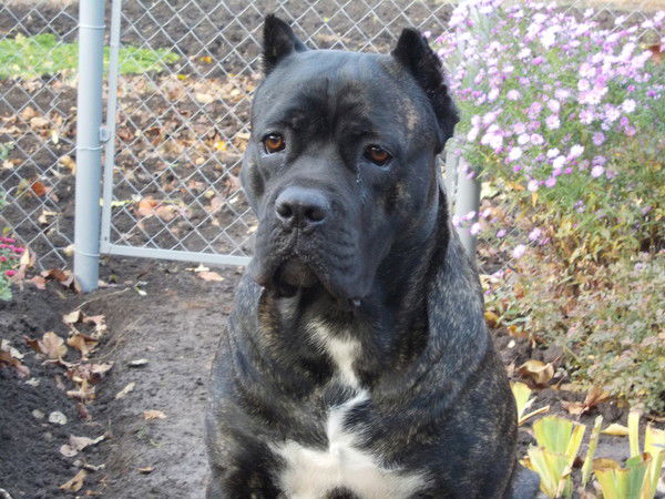 Светлана Резникова