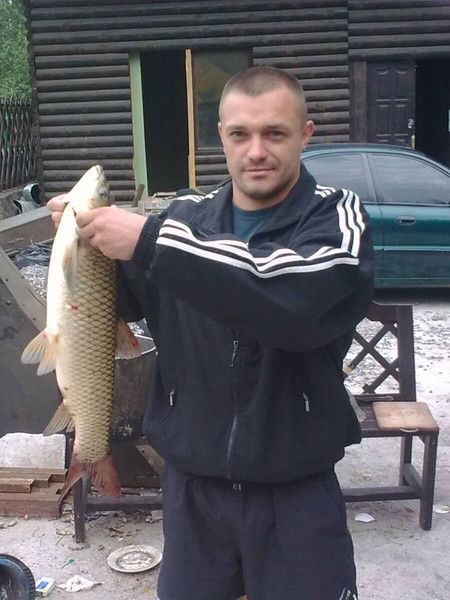 Александр Медвидь