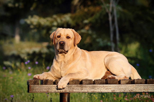 Дмитрий Филиппов
