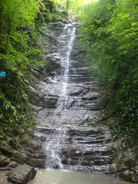 Ирина Вшивцева