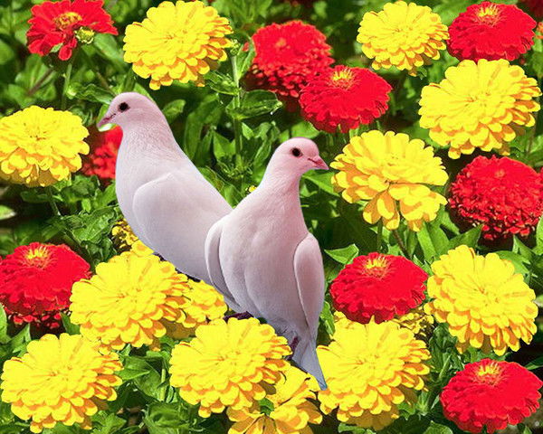 Бахтиер Нурмухамедов