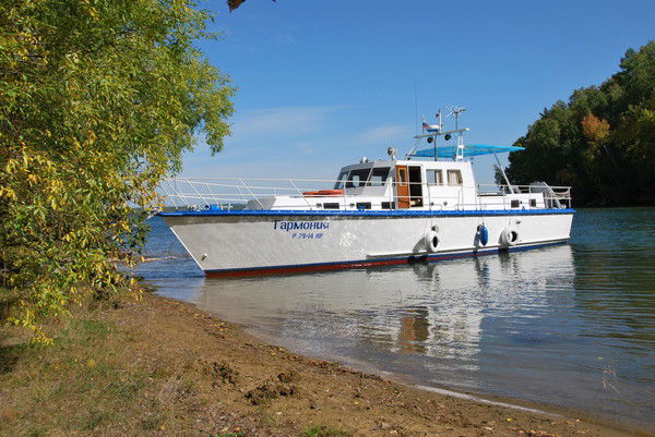 Владимир Степанов