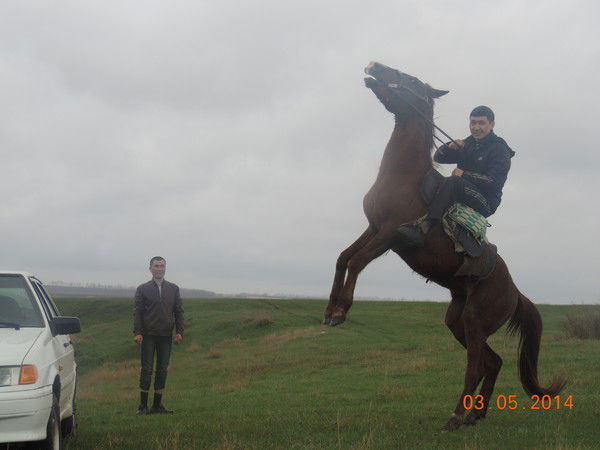 Кубаныч Секеев