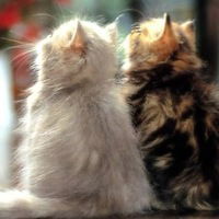 Фатима Мадлена