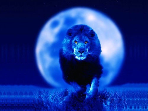 Дмитрий Мухин