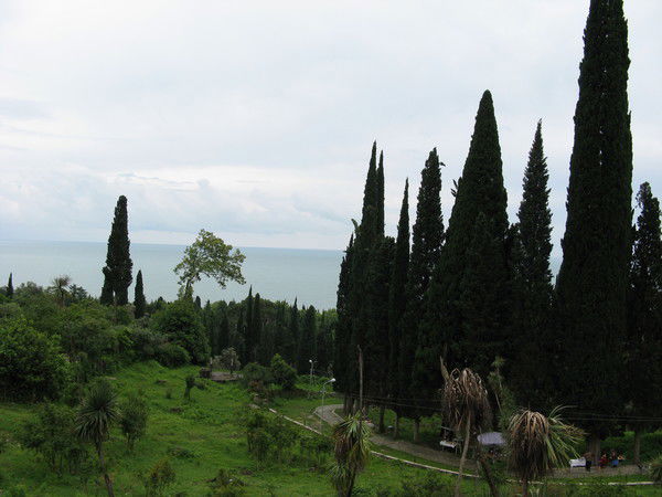 Владимир Кордов