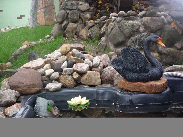 Вера Гусакова