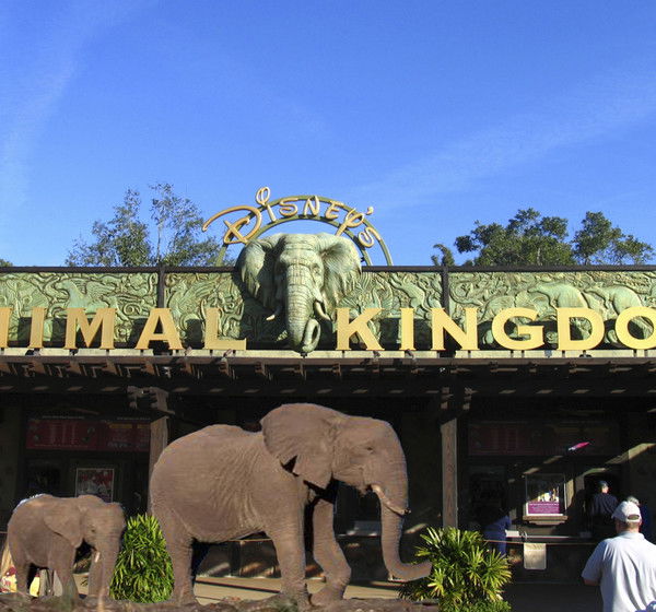 Alexander Алекса Rausch .швигнов