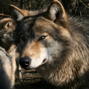 Анна Иванова