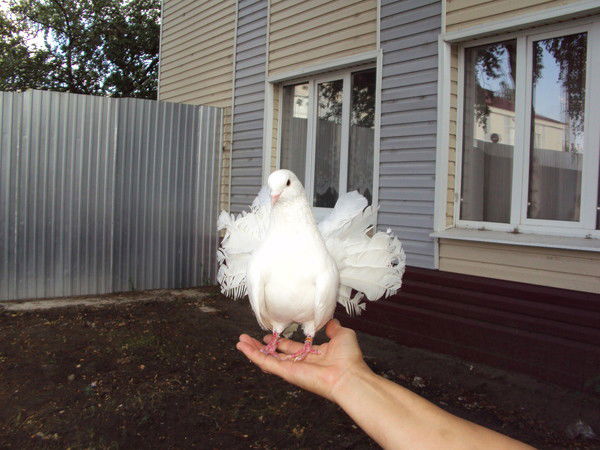 Любовь Суворкина