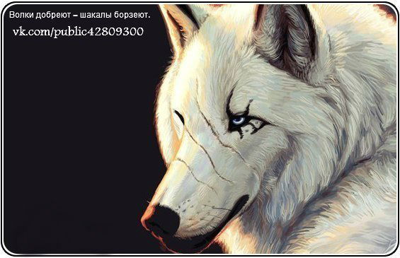 Андрей Громов