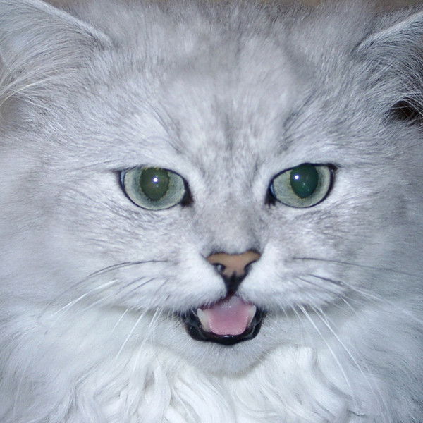 Мухтар Касенов