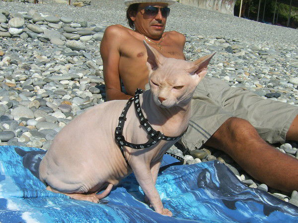 Олег Тупицин