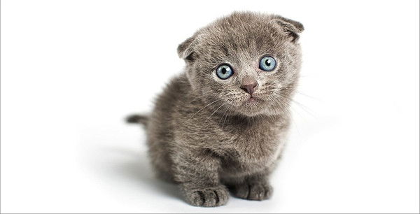 Людмила Милованова