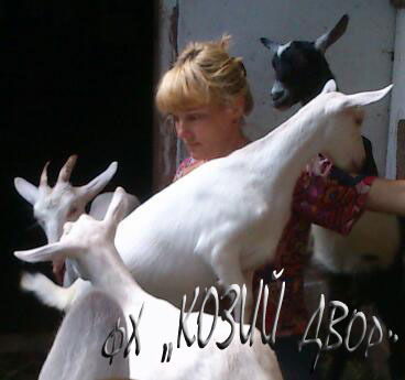 Наталия Дмитрук